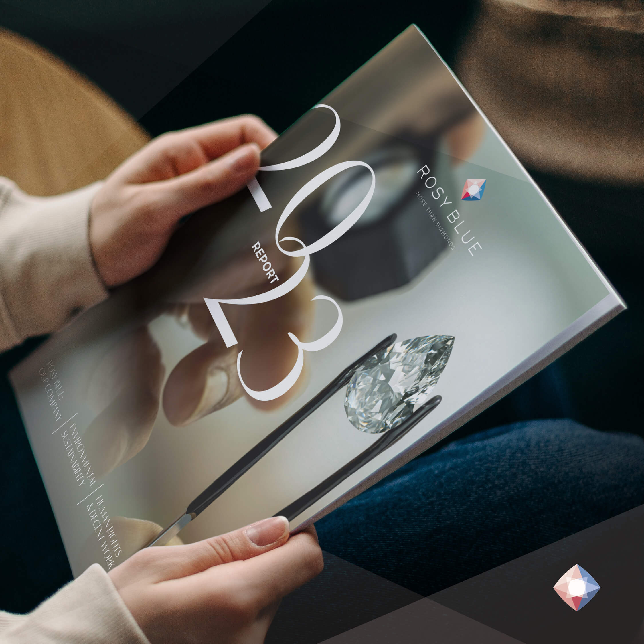 Rosy Blue 2023 annual report