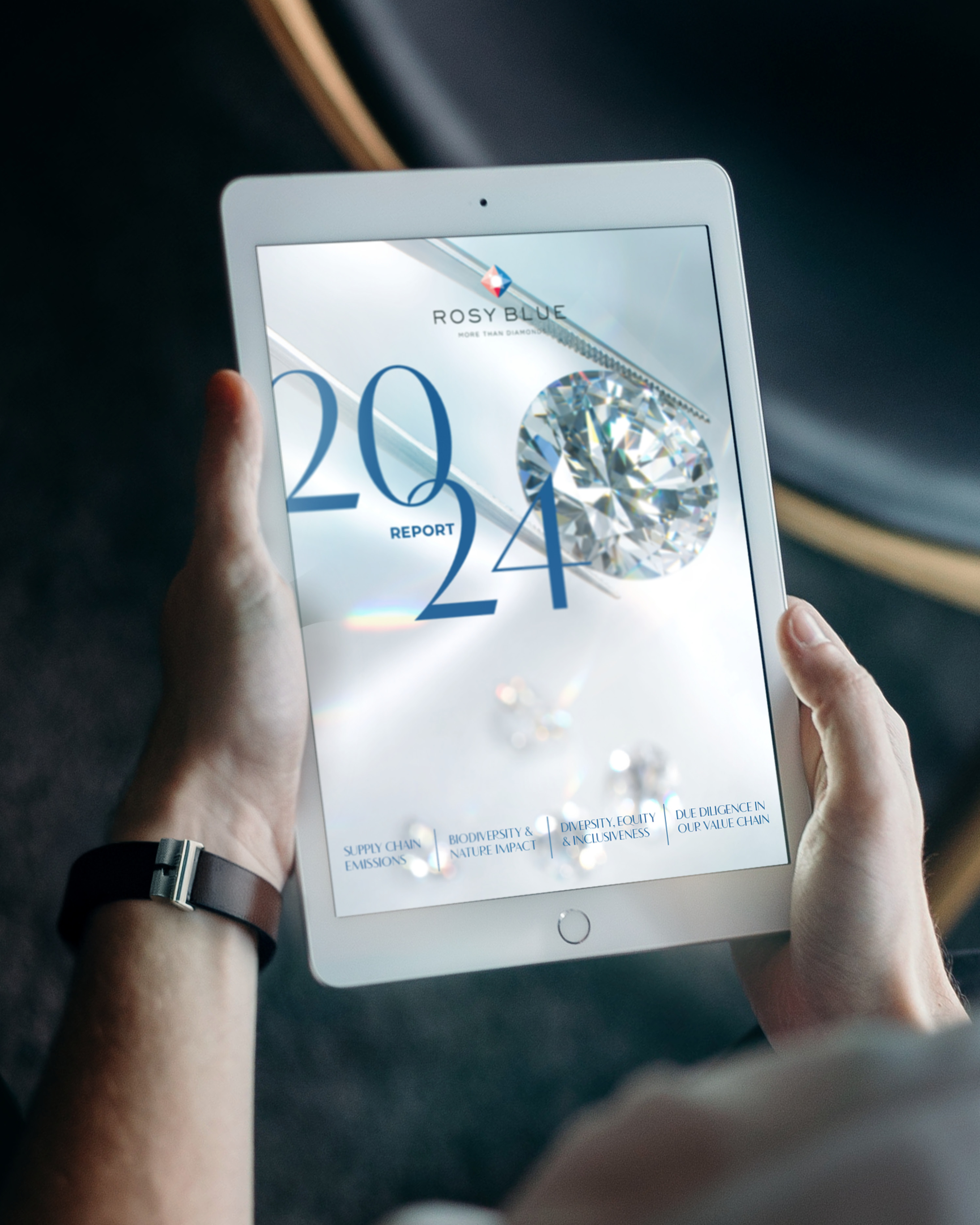 Rosy Blue 2024 Annual Report