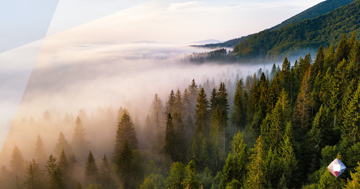 Rosy Blue: Carbon footprint