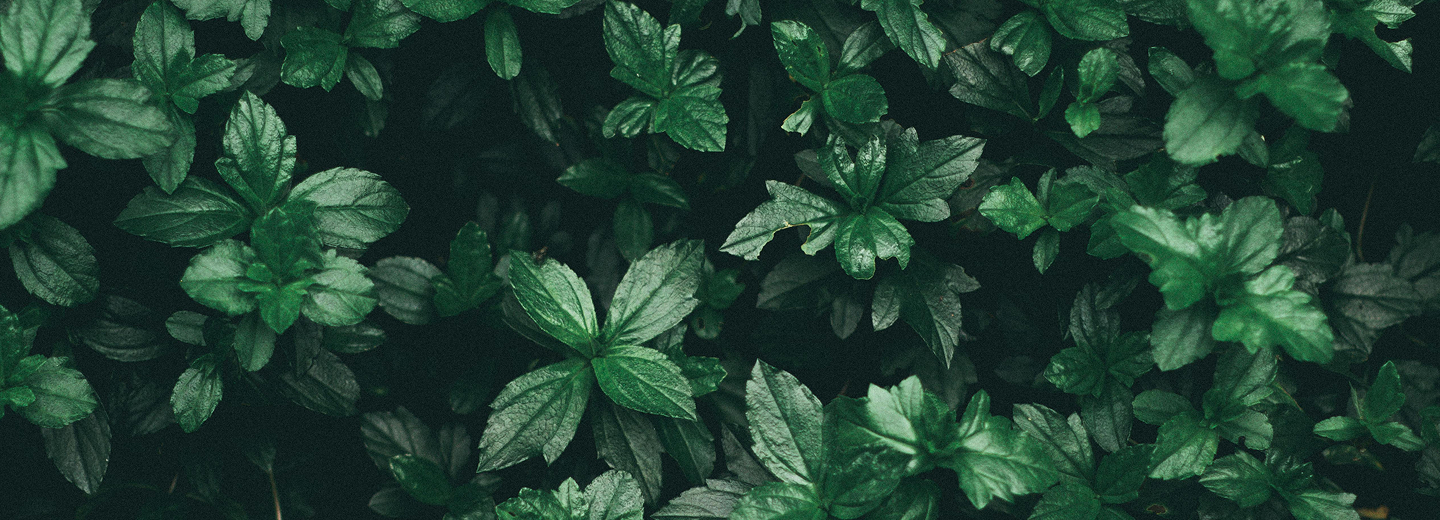 Caring for Our Planet