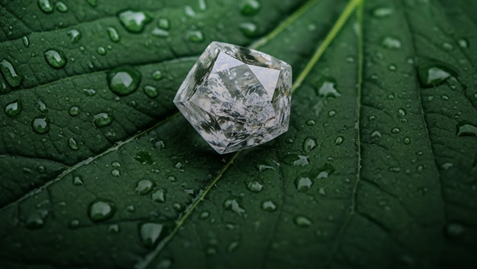 Community Engagement