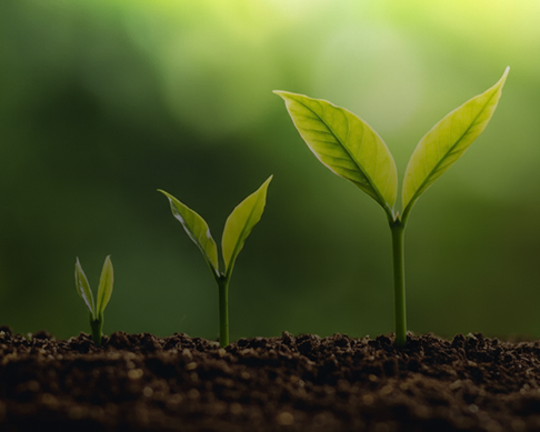 Government & Compliance