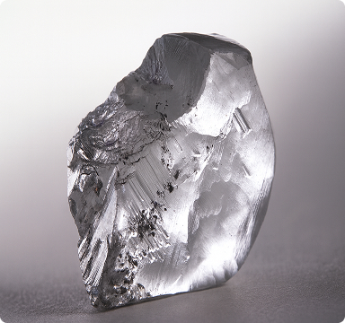 Product Quality & Authenticity